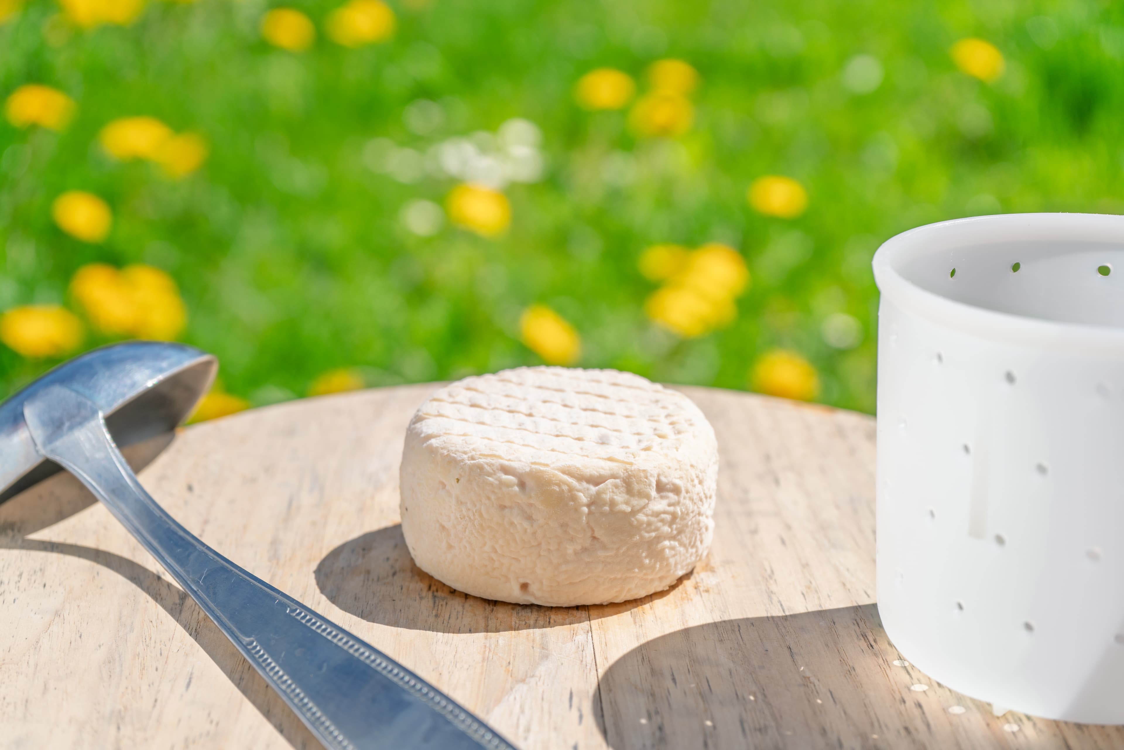 Fromage de chèvre Mi-sec